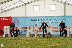 img_2077.jpg