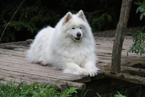 img_5934.jpg