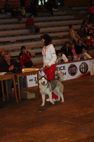 IMG_7595.JPG