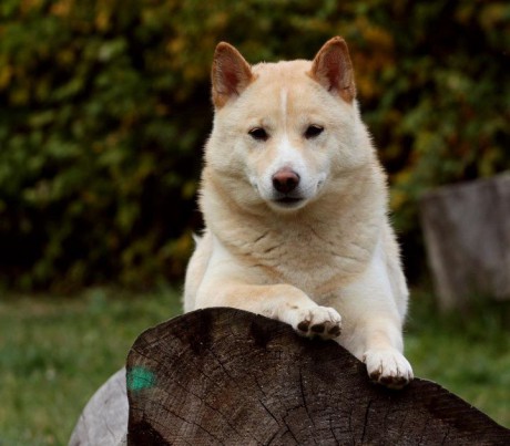 holky 29.10.2011 003