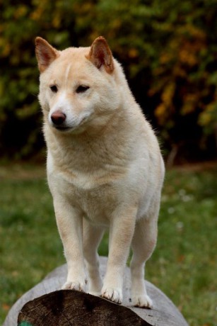 holky 29.10.2011 006