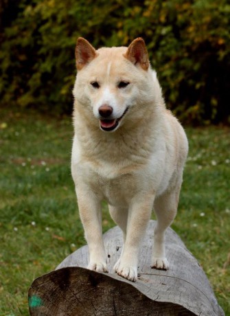 holky 29.10.2011 007