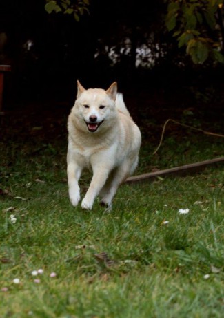 holky 29.10.2011 018