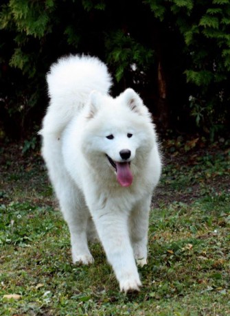 holky 29.10.2011 019