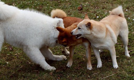 holky 29.10.2011 021