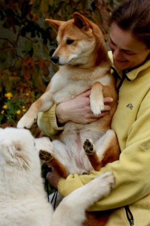 holky 29.10.2011 026