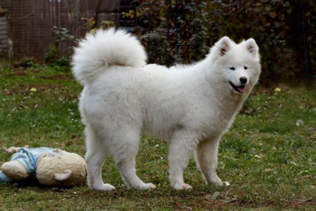 holky 29.10.2011 030