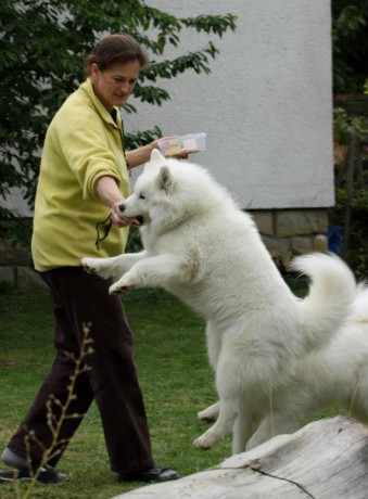 Ailinka a Xambinka září 2012 004