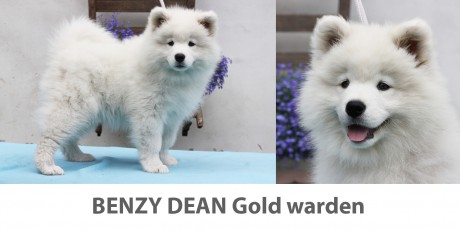dean3