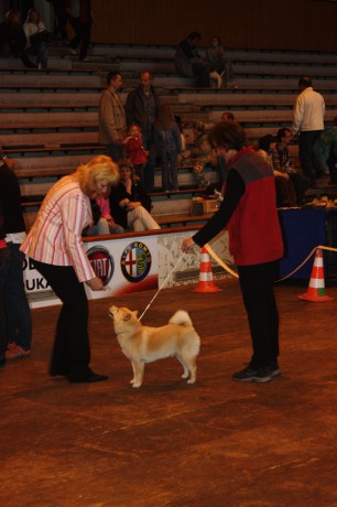 IMG_7575.JPG