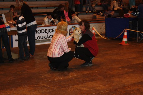 IMG_7576.JPG