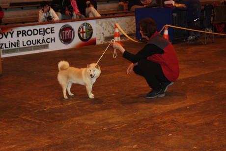 IMG_7582.JPG