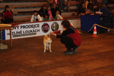 IMG_7584.JPG