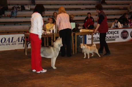 IMG_7587.JPG