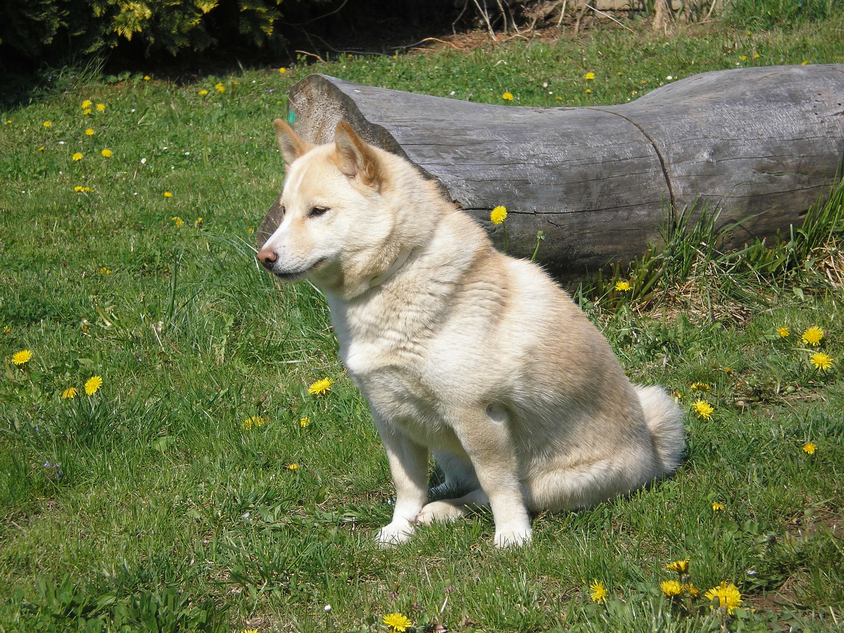 P1010047