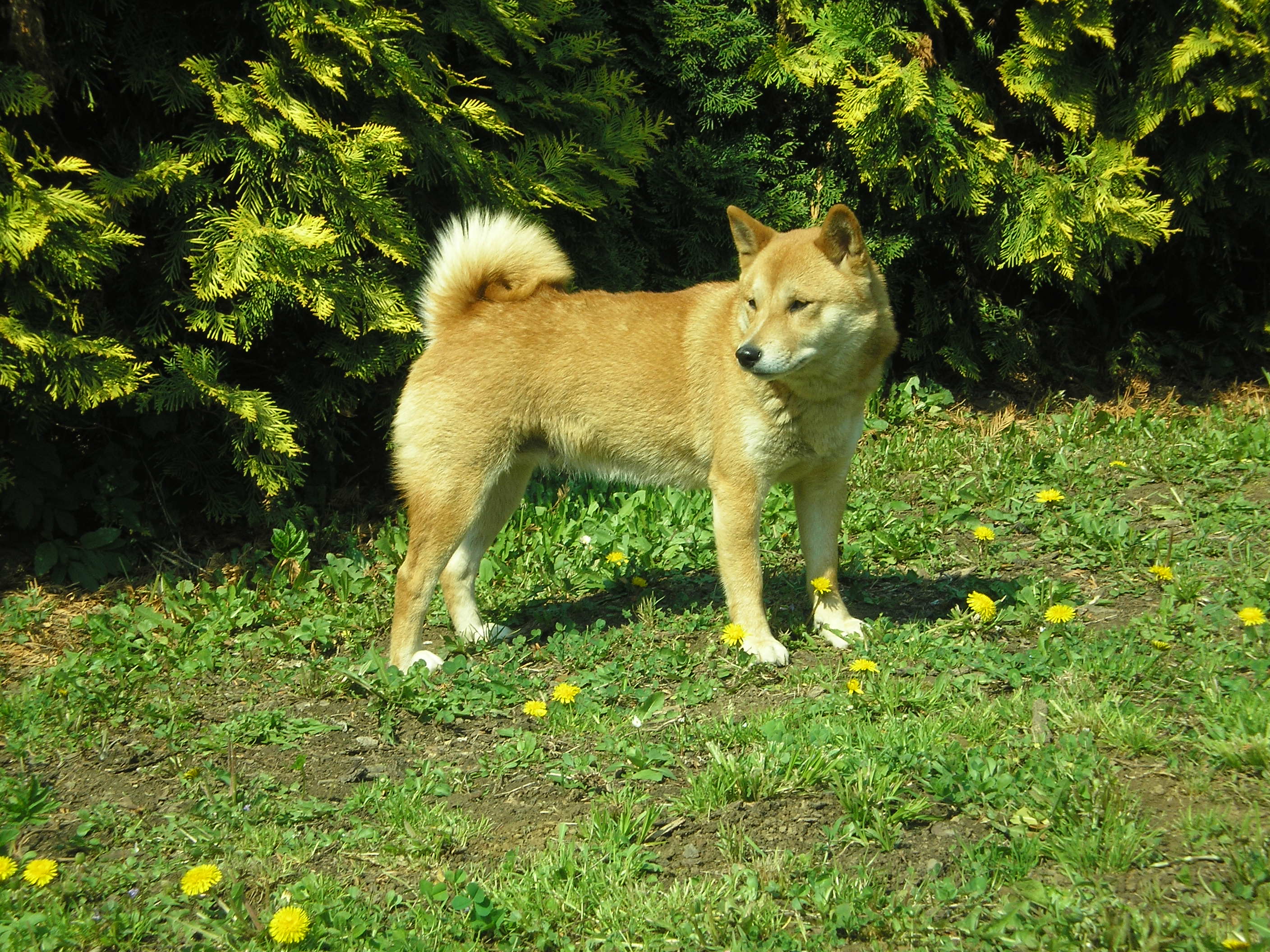 P1010052