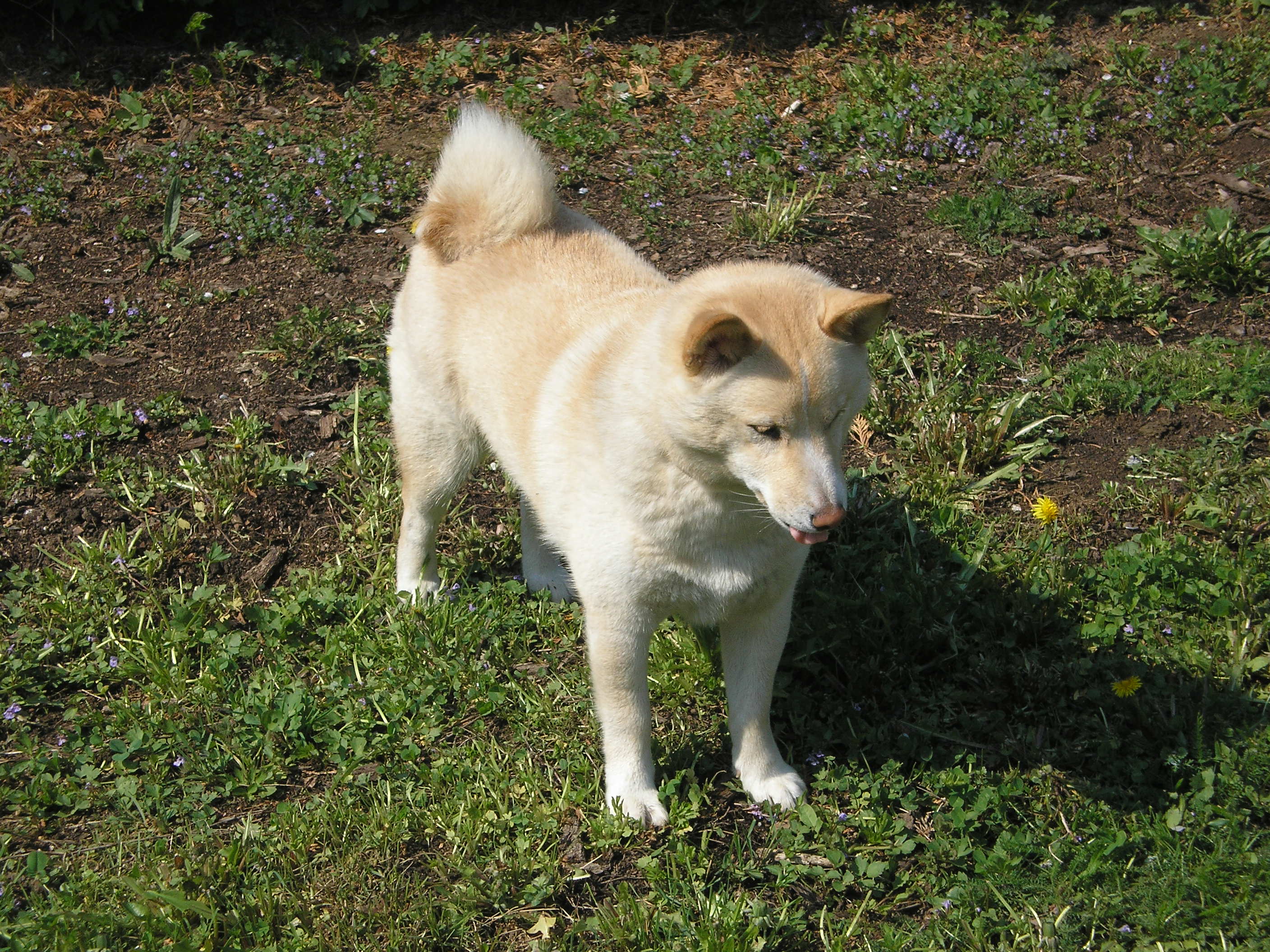 P1010056