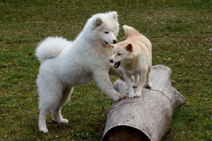 holky 29.10.2011 028