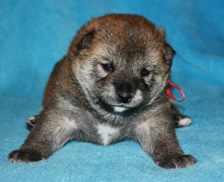 A vrh Suki 2.1.2012 001