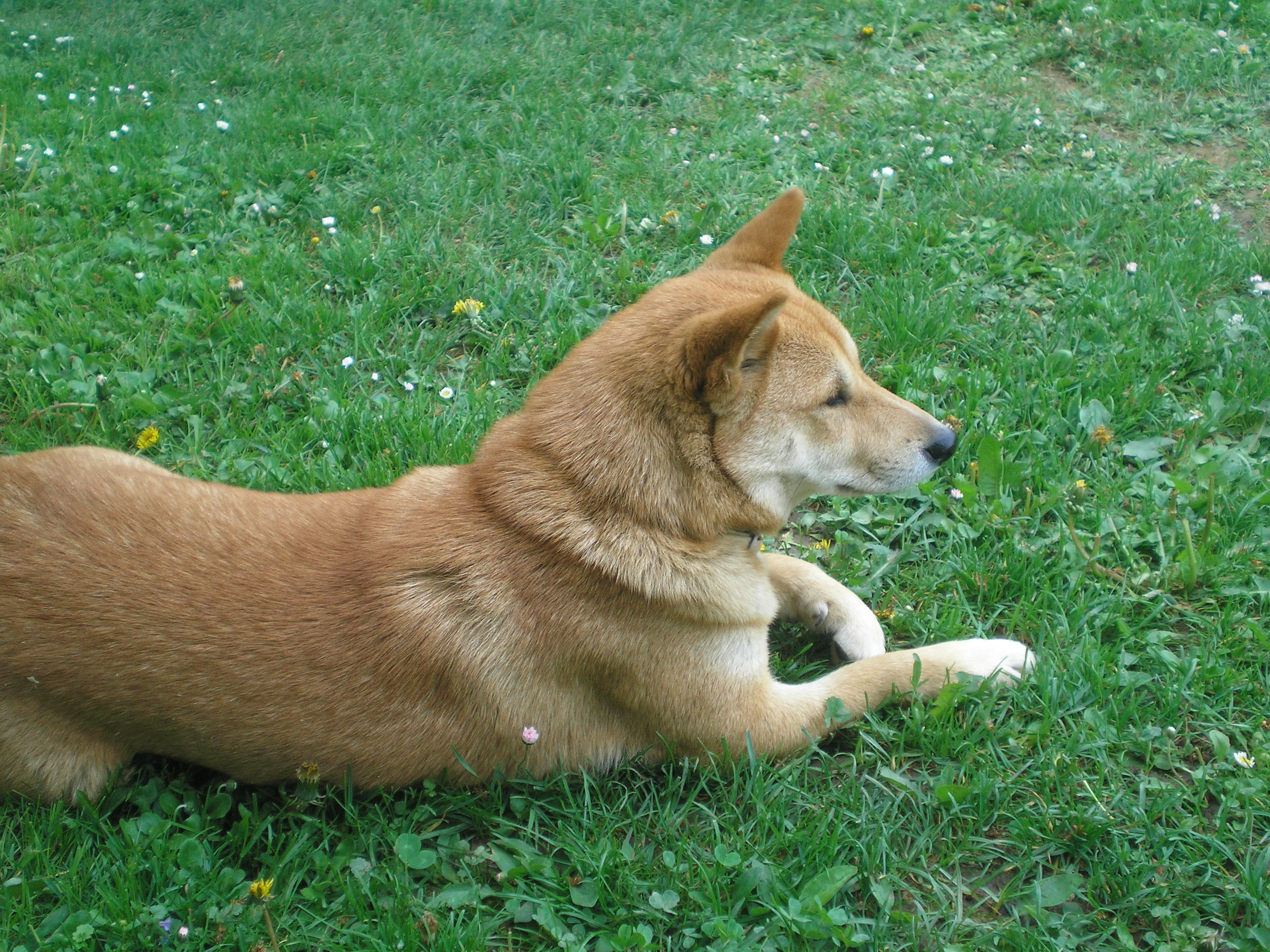 P5090036.JPG