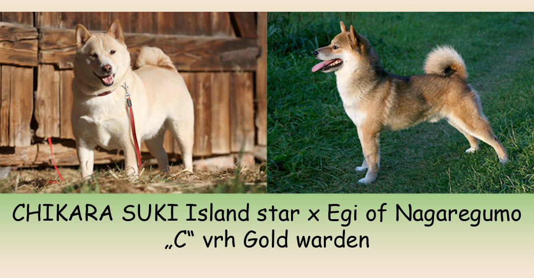 Suki a Egi
