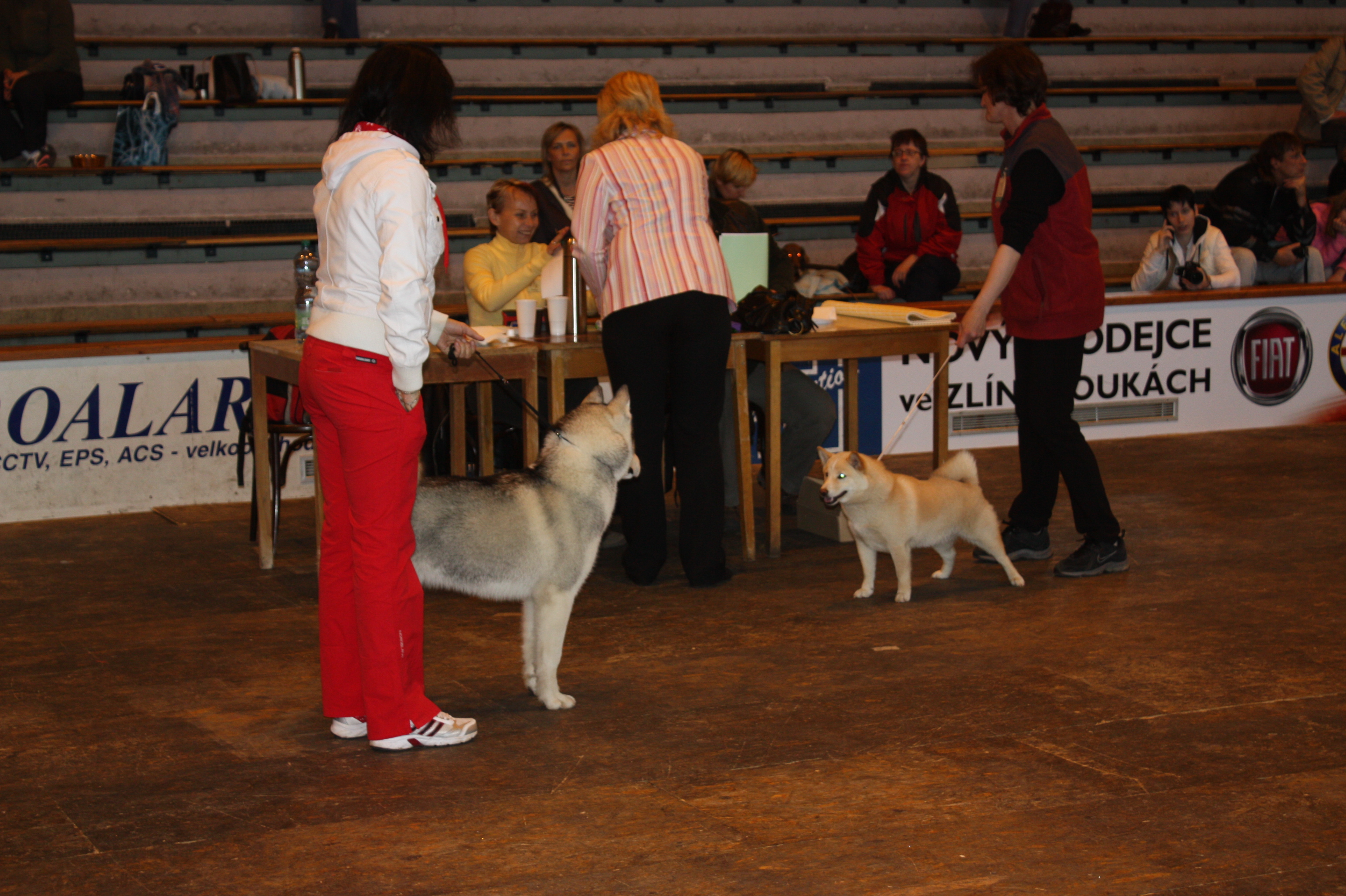 IMG_7587.JPG