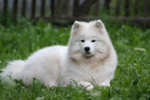 img_3846.jpg