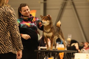 img_9450.jpeg