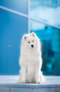 img_0620.jpeg