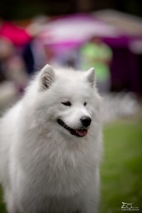 img_1282.jpg