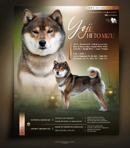 yoji_plakat2026m.jpg